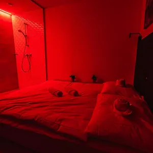 Hostel Dragons Dream, Laibach
